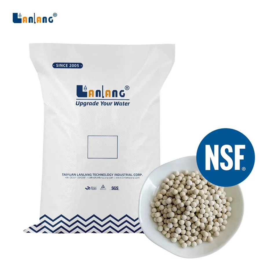 Acid meta-silicic Bio Ceramica